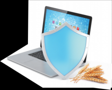 <b>三方专业机构参取</b>